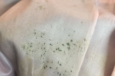 紡織類服裝發霉怎么辦？工廠如何應對以及如何清洗